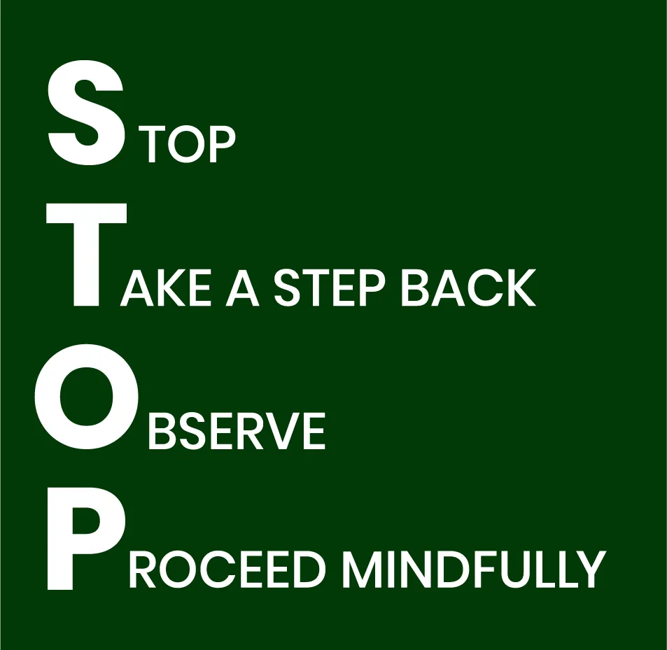 Emotion Regulation DBT Skill STOP steps